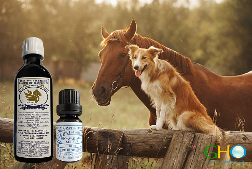 banner-img